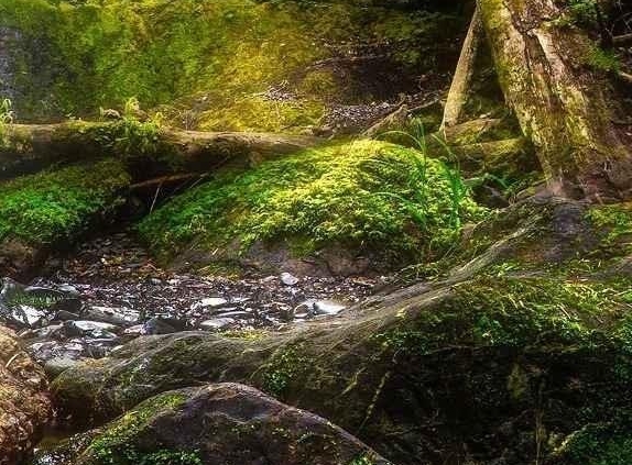 比粉象生活返利还高的软件