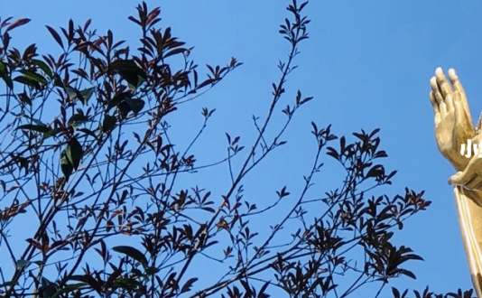 浙江河象网络科技