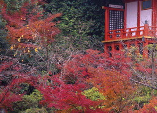 类似粉象生活的平台