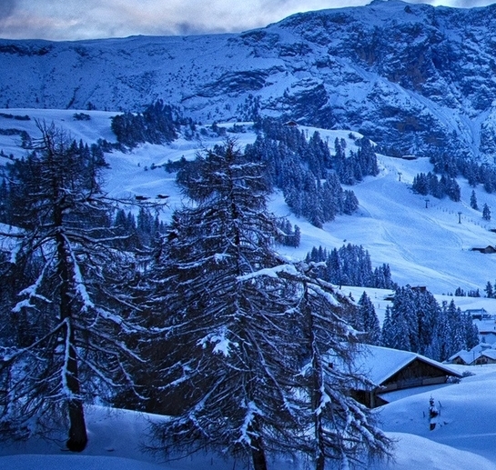 和粉象生活类似的软件