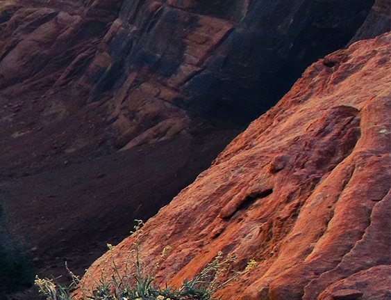 粉象生活升级后大概几天才看到收入
