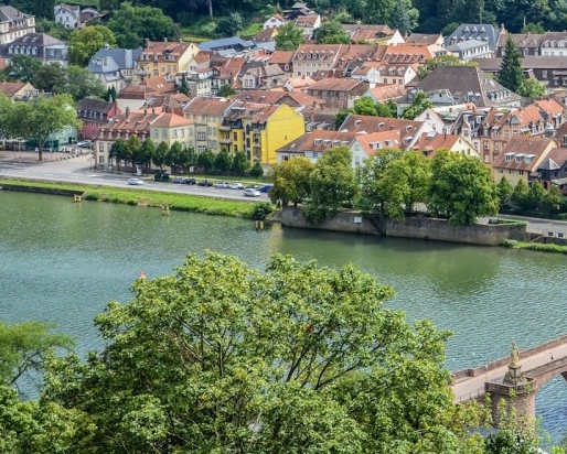 粉象生活可以赚钱吗