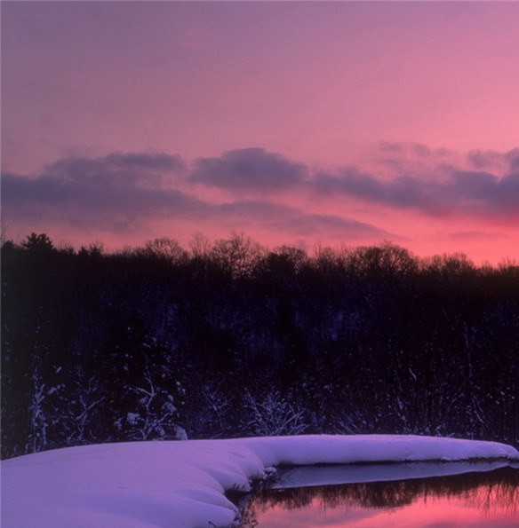 粉象生活邀请人牛X码