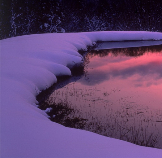 粉象生活app怎么注销粉象生活