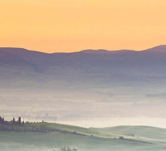 粉象生活怎么返利