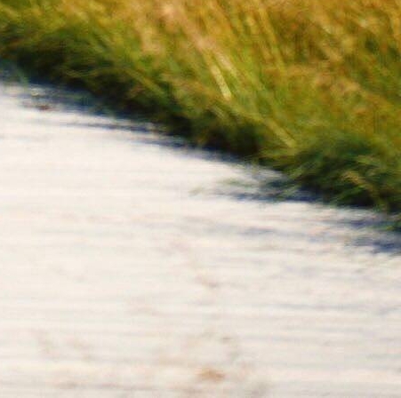 粉象生活邀请码靠谱写