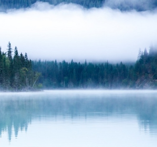 粉象生活赚钱教程