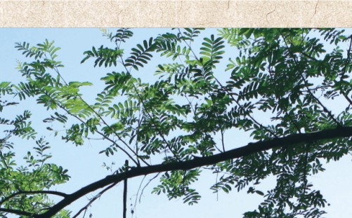 粉象生活怎么退货?