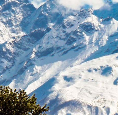 广州粉象生活vip