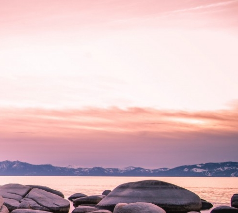 泰安粉象生活图片