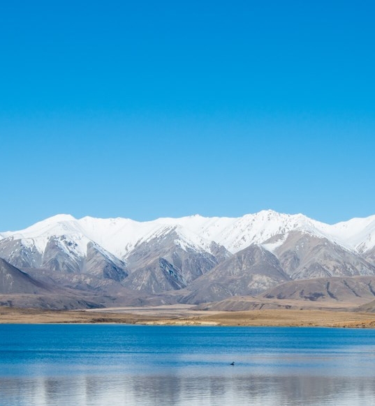 粉象生活下载app