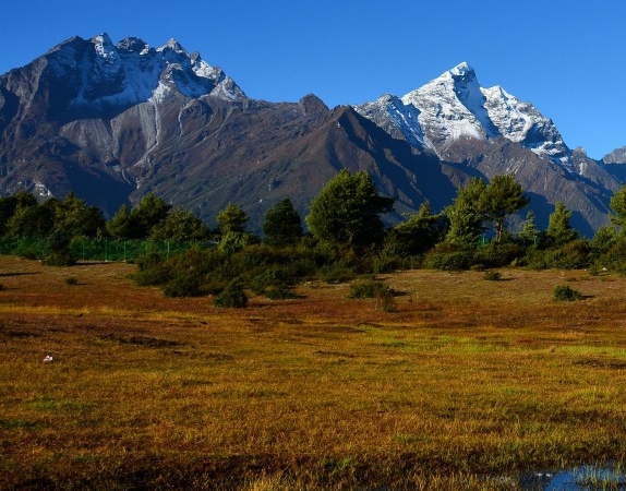 悦拜粉象生活对比