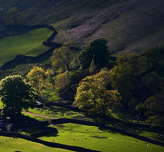 粉象生活视频播放