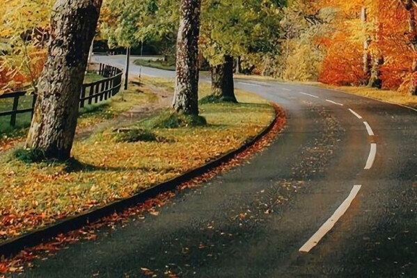 达州粉象生活vip