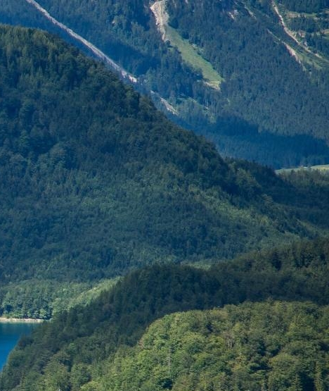 幼儿园生活视频播放