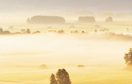 德州粉象生活app粉象生活