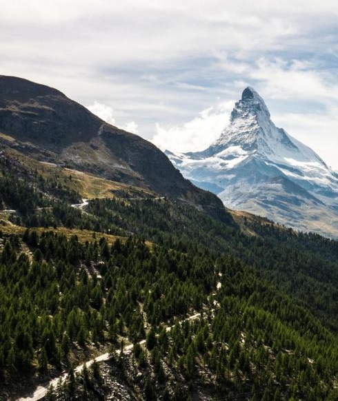 粉象生活轻创业