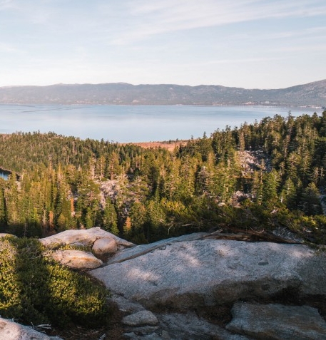 粉象生活是否合法