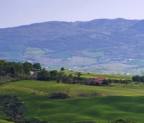 眉山粉象生活代理