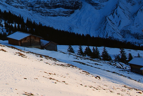 粉象生活创业app