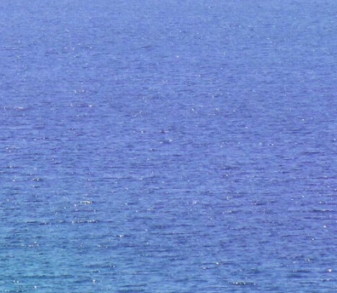 厦门粉象生活app