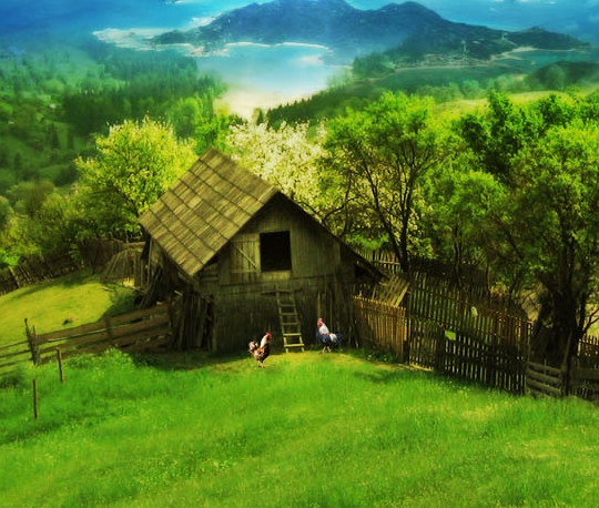 粉象生活邀请人