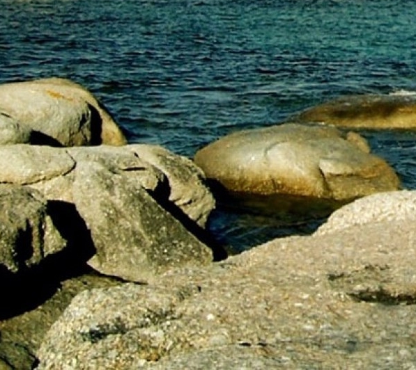 粉象生活赚钱教程