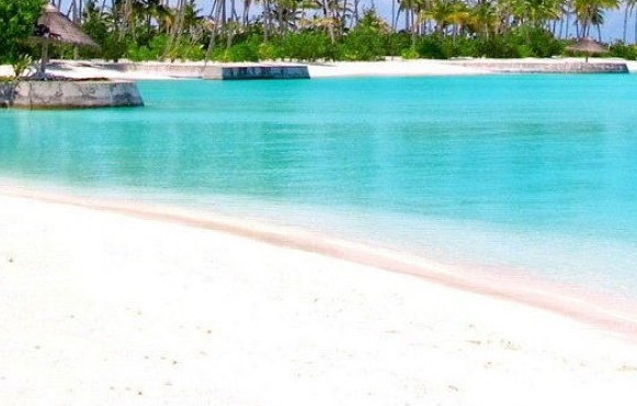 粉象生活可以赚钱吗