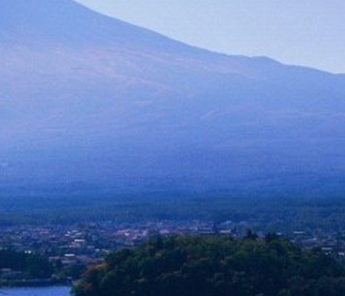 粉象生活团长收入