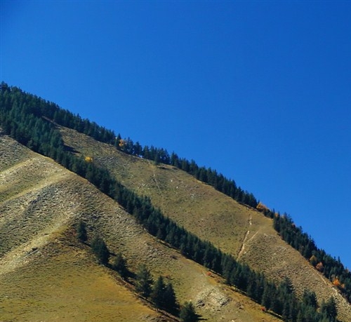 粉象生活赚钱教程