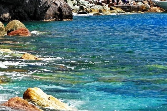 东莞粉象生活能拿几代佣金