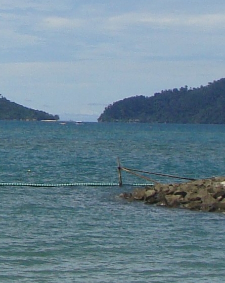 粉象生活推广一个人赚多少钱