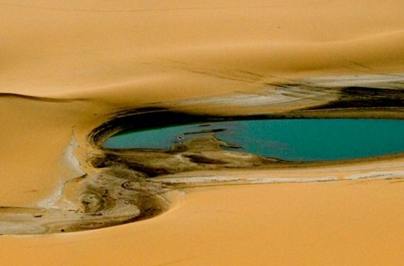 粉象生活怎么省钱