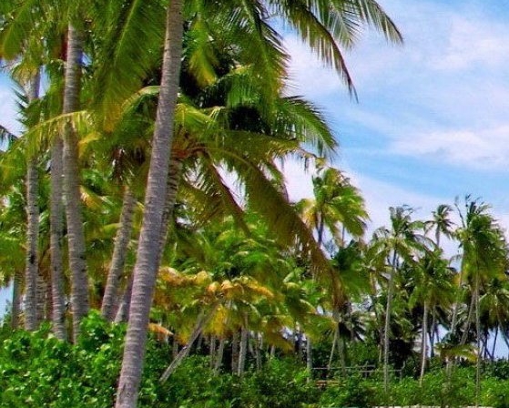 烟台电信积分兑换