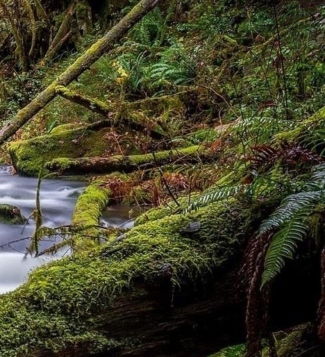 法院冻结所有资金怎么生活