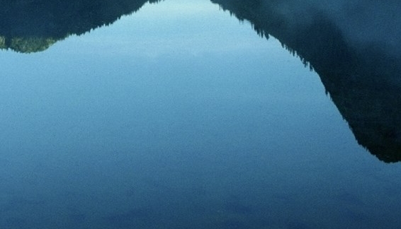 粉象生活是骗人的吗