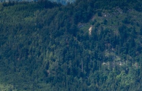 粉象生活为什么要升级vip