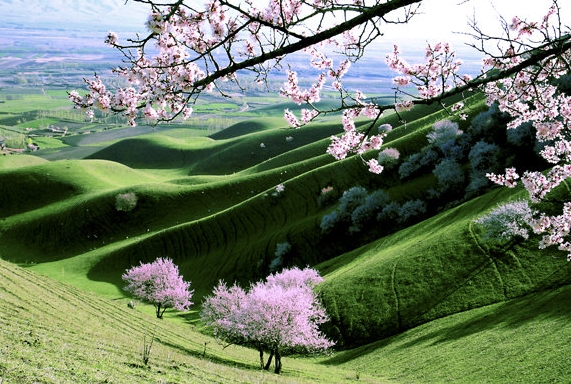 粉象生活下载app