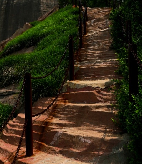 黄山粉象生活app