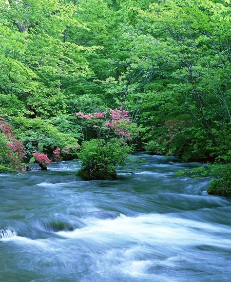 肇庆粉象生活推广