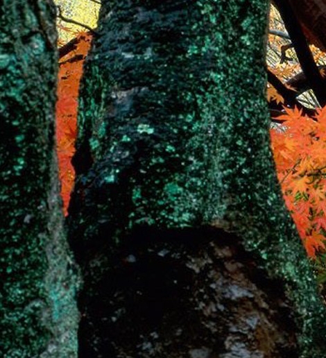 粉象生活下级的下级推荐人