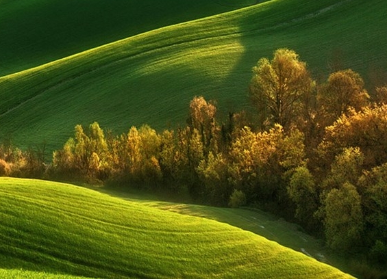 粉象生活赚钱教程