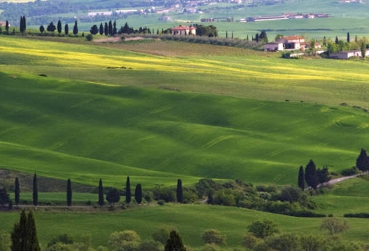 粉象生活2021还能做吗