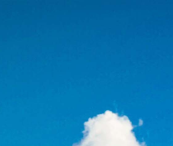 东莞粉象生活代理