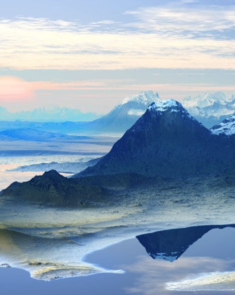 粉象生活营销方案