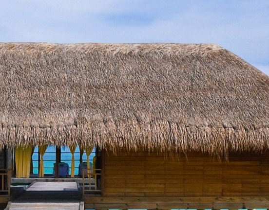 湖北运营粉象生活