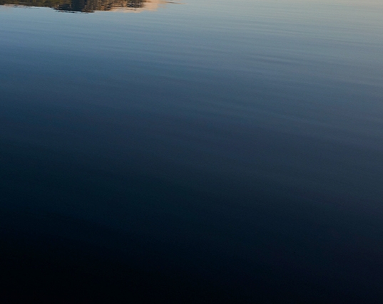 阜新粉象生活app