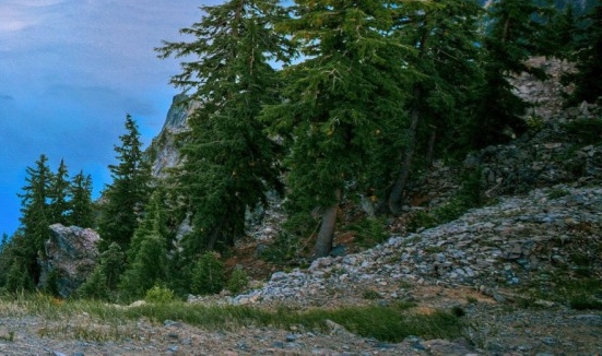 粉象生活文字标识