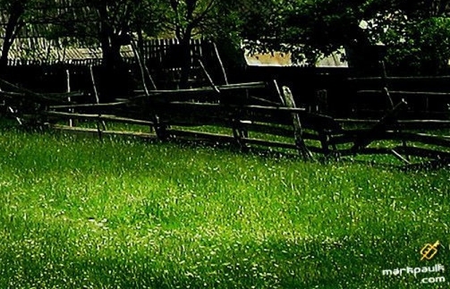 肇庆粉象生活可信吗