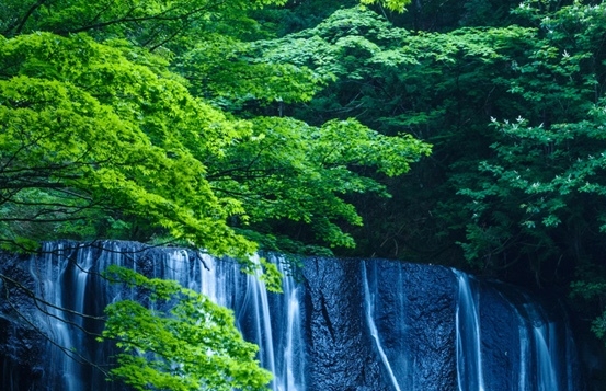 下载粉象生活代理